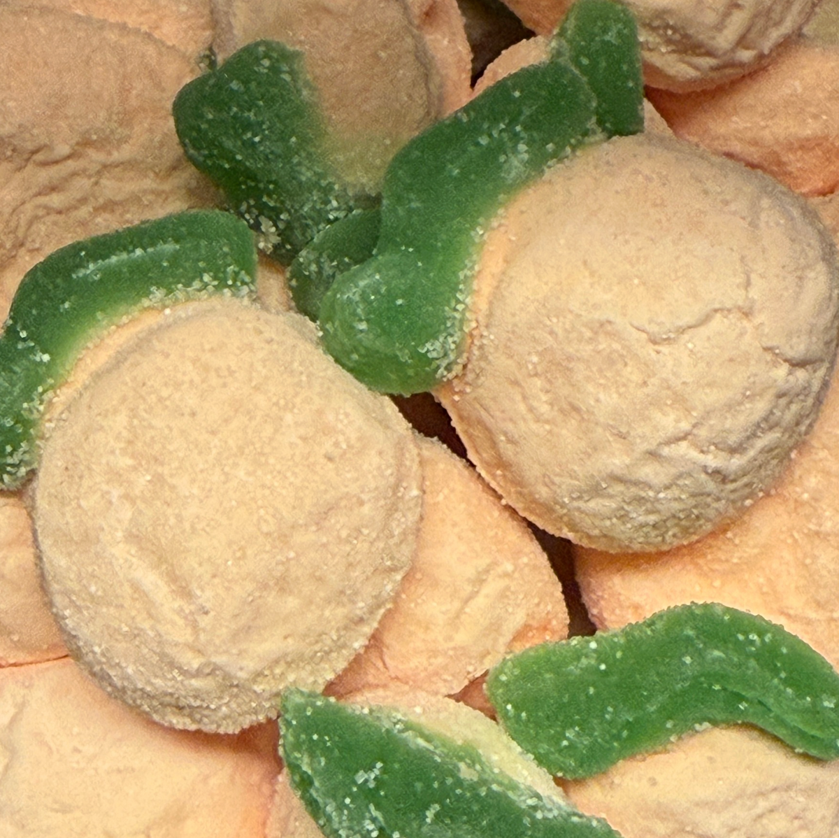 Sour oranges